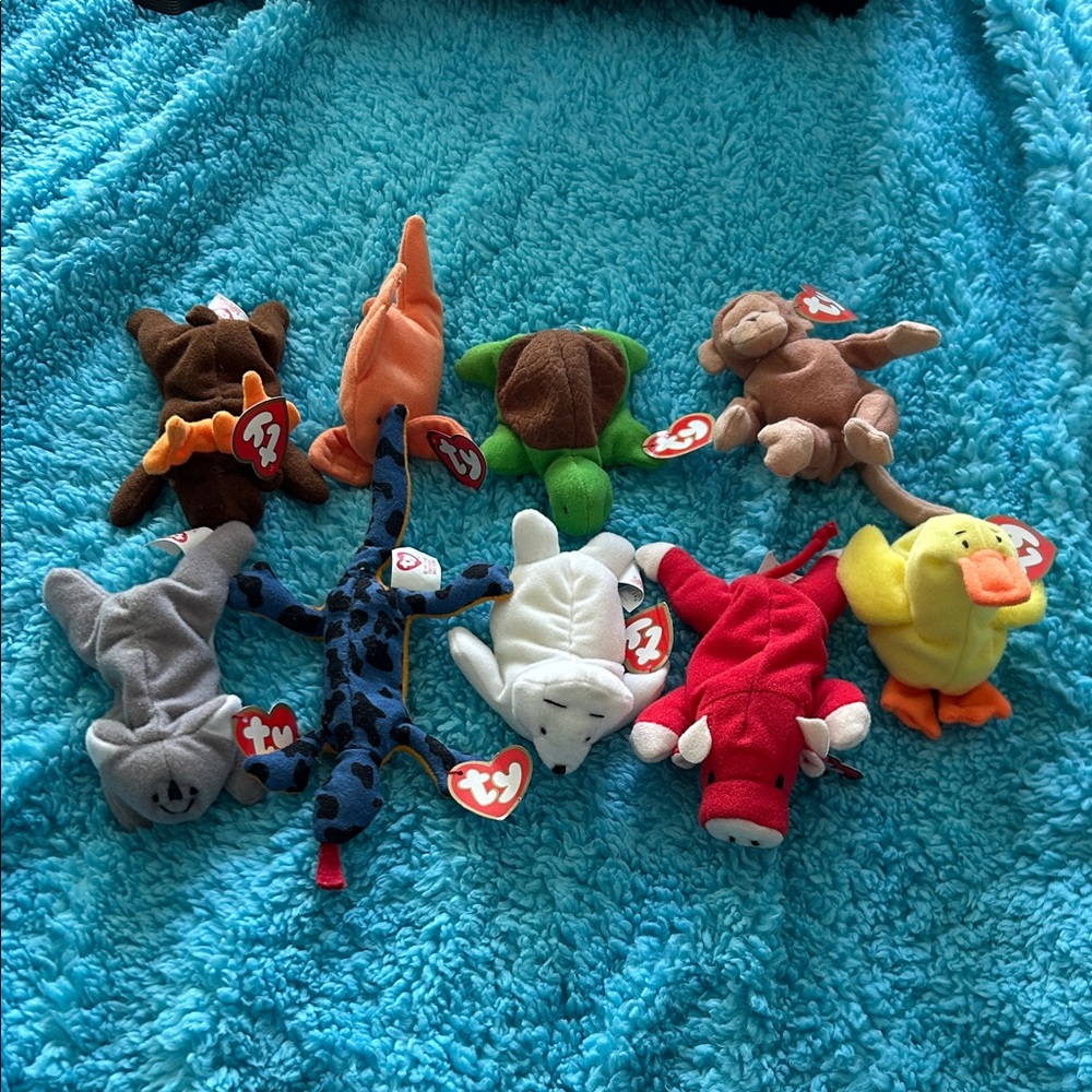 Ty Beanie Babies Colorful Plush Collection
